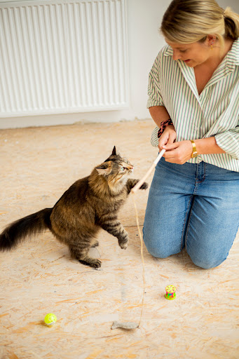 'tHuisdiertje - Dierenoppas aan huis & Hondengedragstherapie