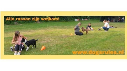 Dogs Rules