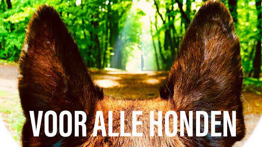 Hondengedragstherapie • Dog Coach Joan