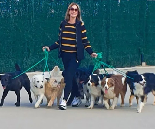 Perfect dogs
