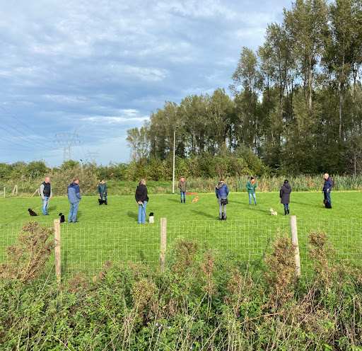 Doderer Hondenschool