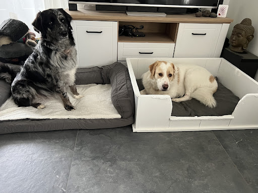 Dogmentors Daisy Veen