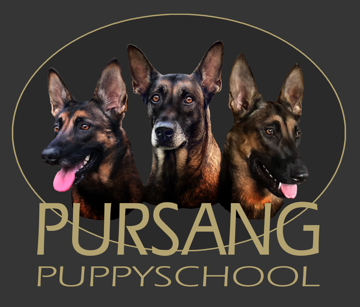 Puppyschool PurSang