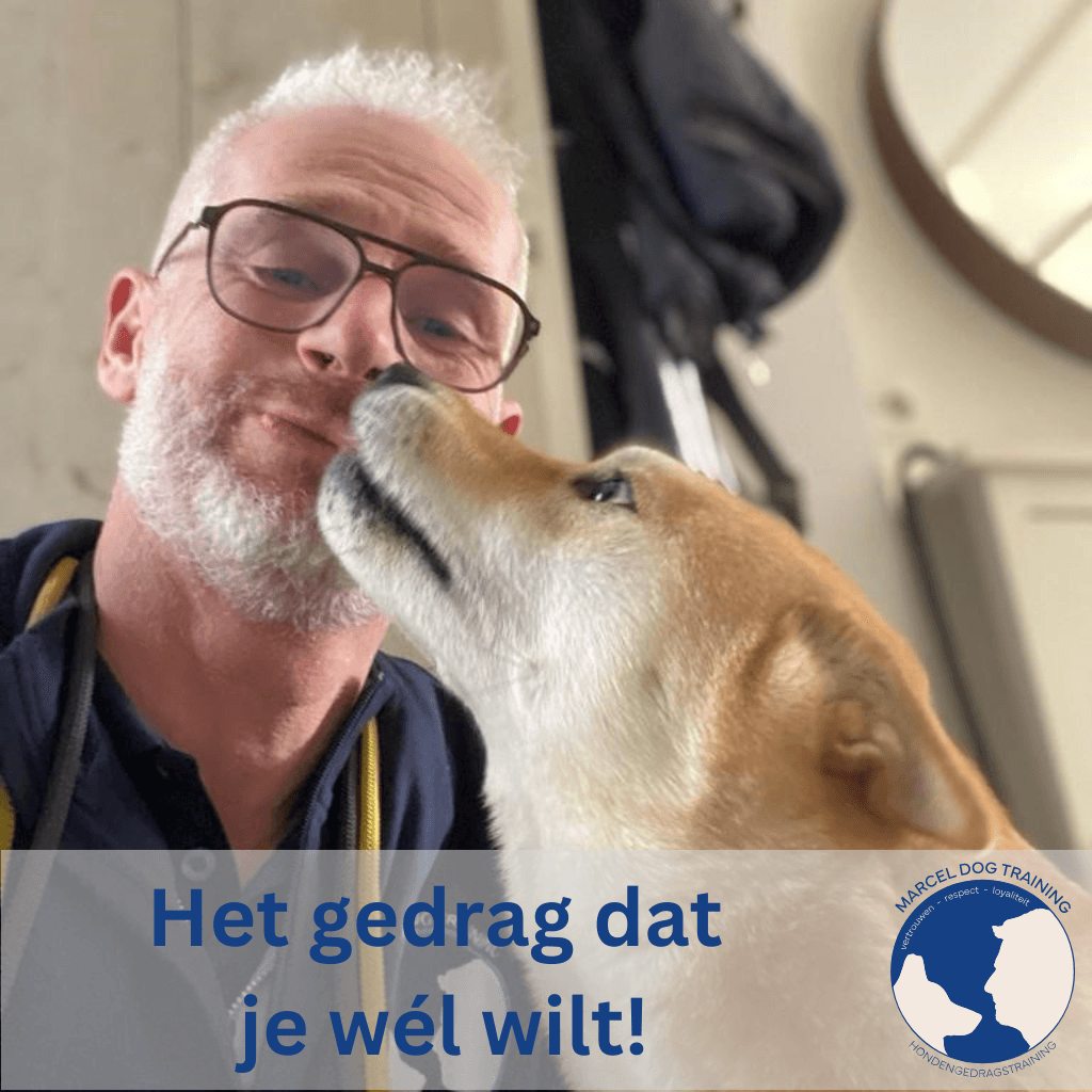 Marcel Dog Training | Hondengedragstraining