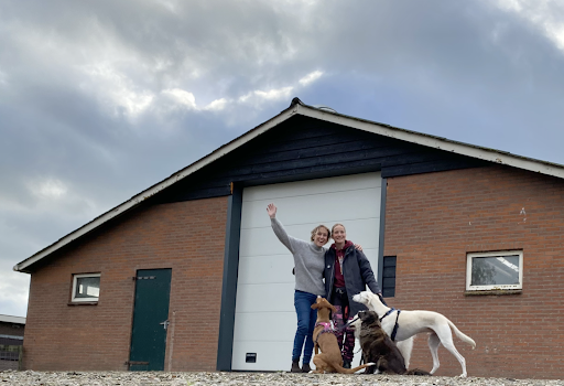 Blafwerk - Praktijkspeuren, training en gedragstherapie voor honden