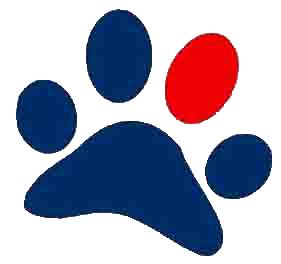 Blafwerk - Praktijkspeuren, training en gedragstherapie voor honden
