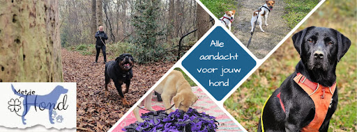Samen met je hond