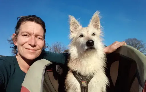 Happy Dog Coach