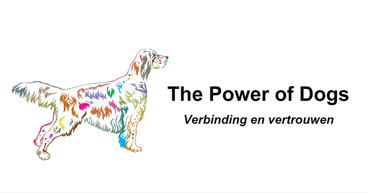 The Power of Dogs