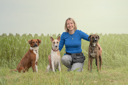 Lisa de Roos / Het Hondeneiland
