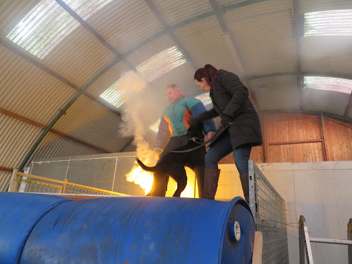 Kane9 Scentwork