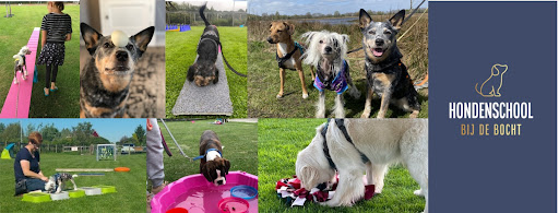 Hondenschool Bij de Bocht