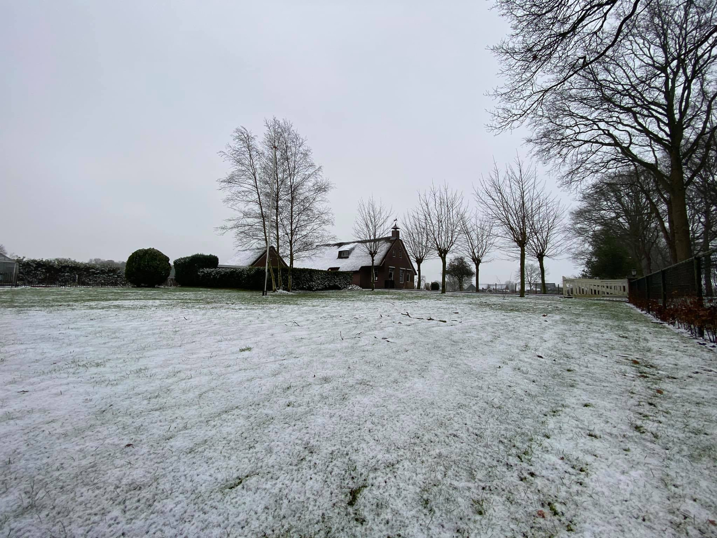 Hondenschool Bij de Bocht