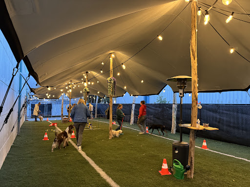 Hondencentrumzeeland