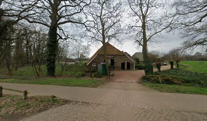 Kira's Skills, all about dogs