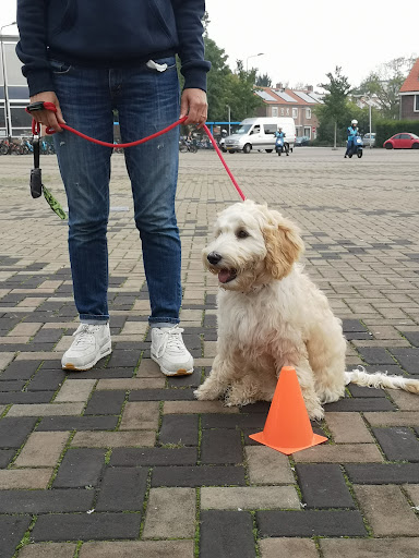 Trainingsschool AW Katwijk / Noordwijk