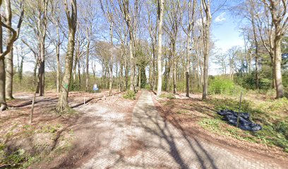 Hondenschool & Puppycursus M'n Maatje