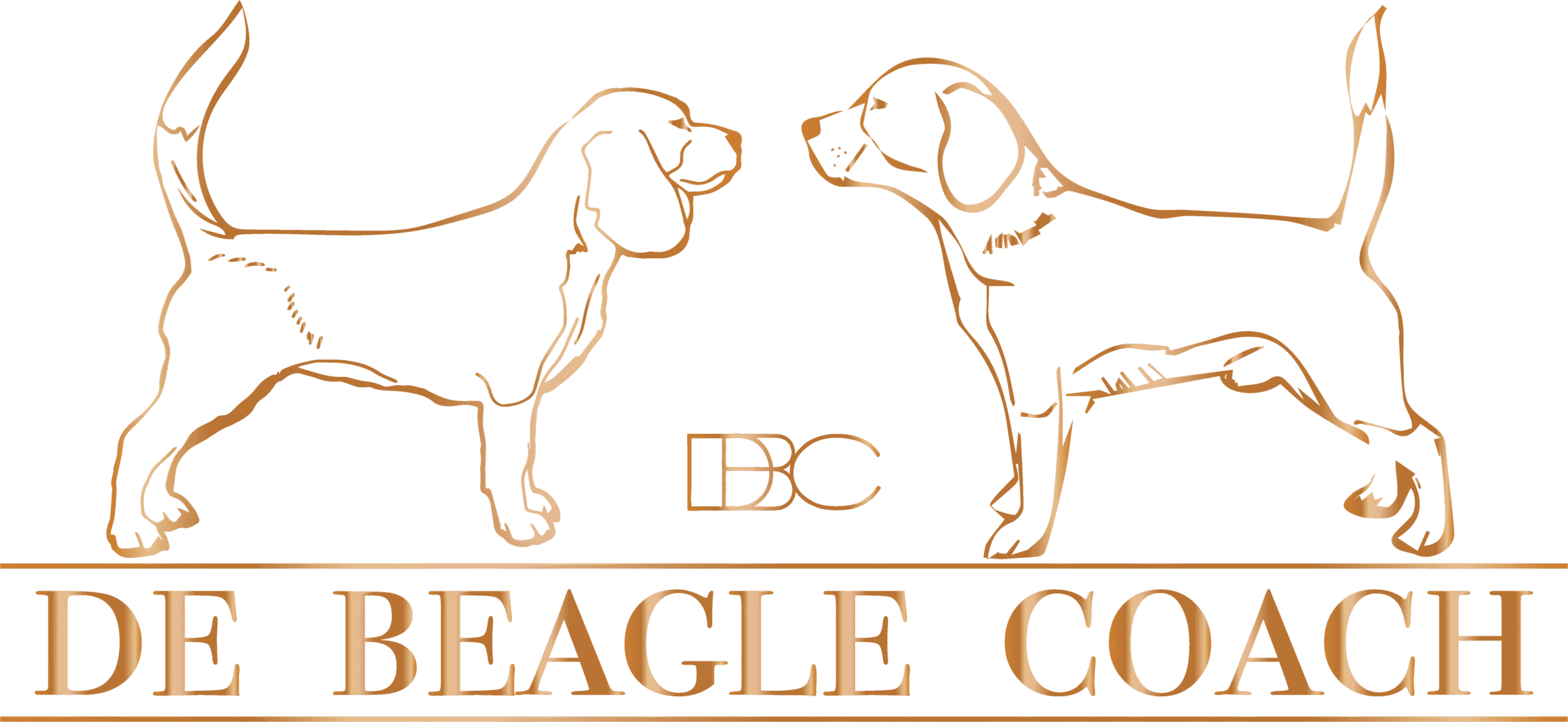 De Beagle Coach