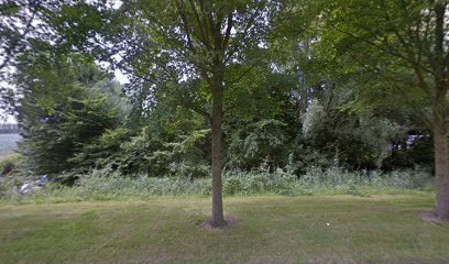 Hondenschool Op Stee