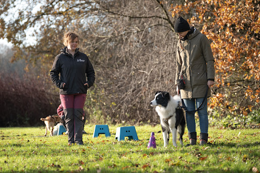 Hondenschool Minerva Dog Training