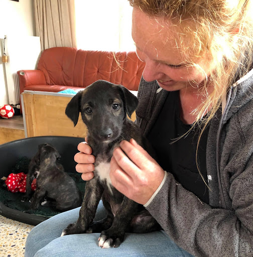 Lilian Bults | Hondenrondje