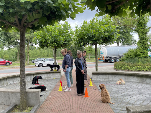 Trainingsschool AW Hoevelaken