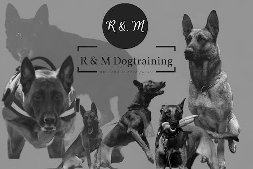 R & M Dogtraining