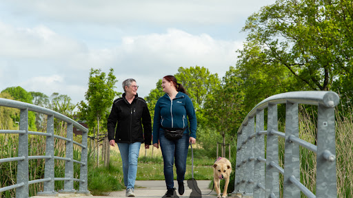 Hondencoach aan huis Hillie de Vries