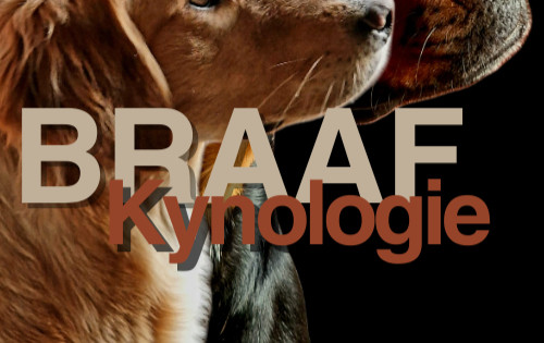 BRAAF Kynologie Hondentraining Erp