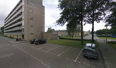 Dunia Jambo Hondenuitlaat- en trainingservice