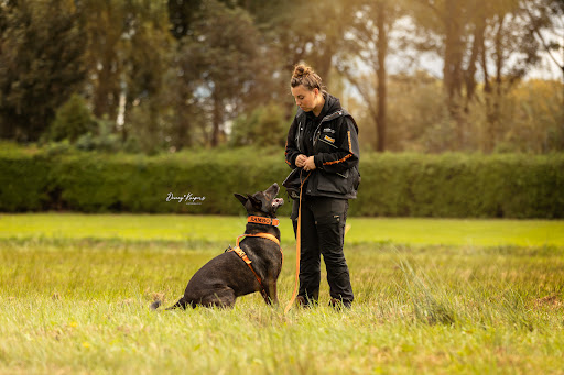 SamenWelzijn Hondenschool en Gedragscoaching