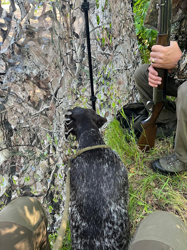 Jachthondentraining bij Jos