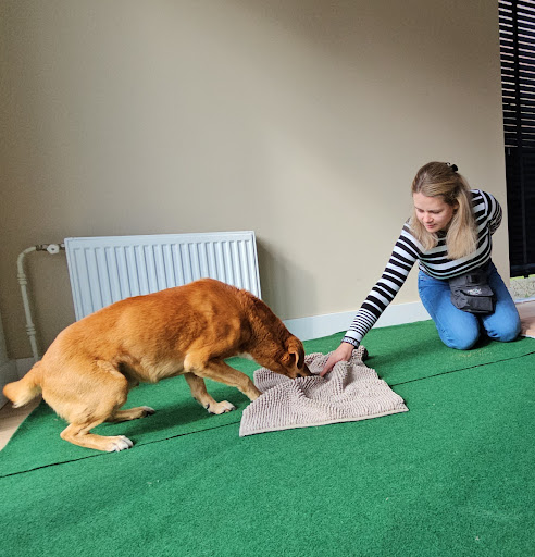 Petsconnect