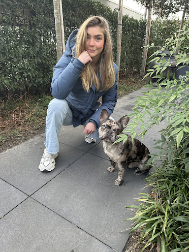 Rifu Steemeijer
