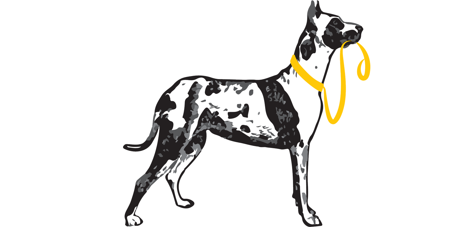 Ctrl your dog