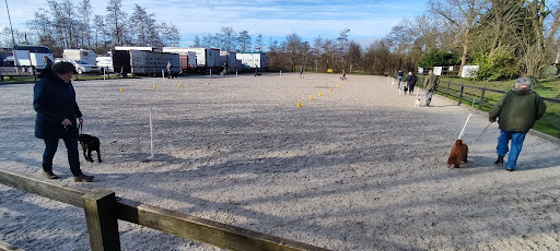 Hondenschool Boerakker