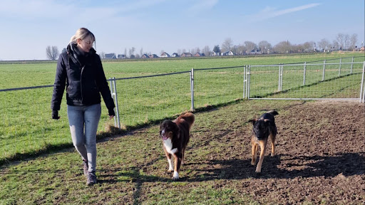 Hondencoach Haiduc