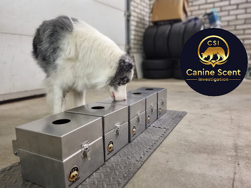 Csi (Canine Scent Investigation)