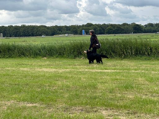 Hondenschool Maria Kooi