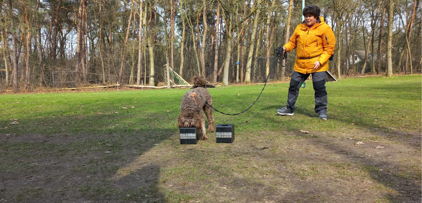 Hondenschool DorestadDogs (Wijk bij Duurstede)