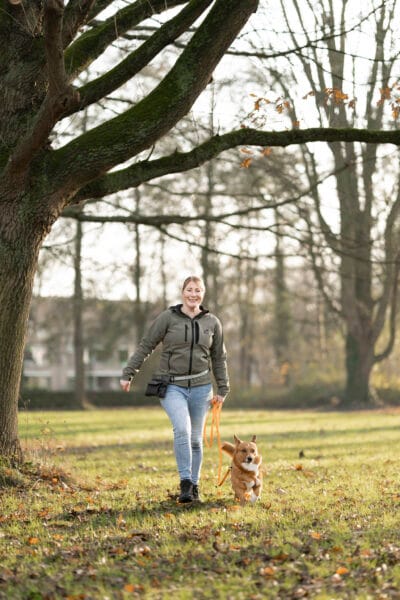 De Moderne Hond