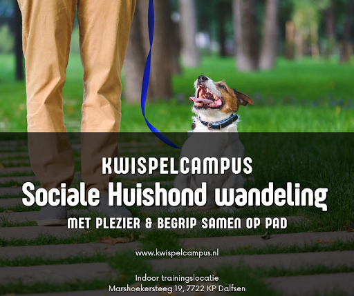 Kwispelcampus