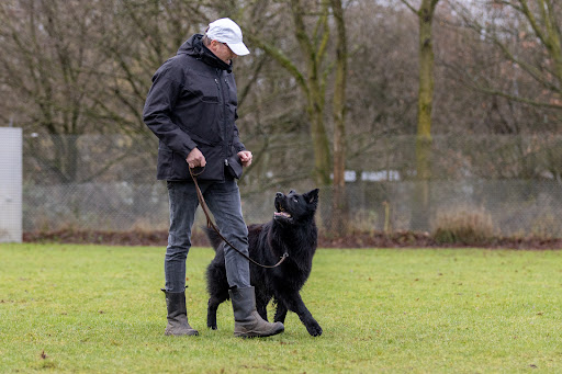 Werkhonden Sport & Spel