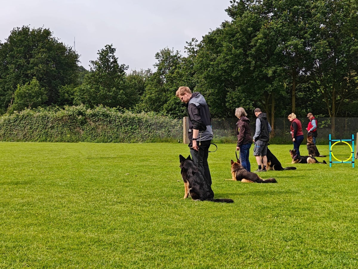 Werkhonden Sport & Spel