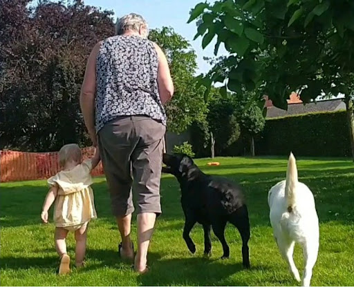 Hond en kind gezien