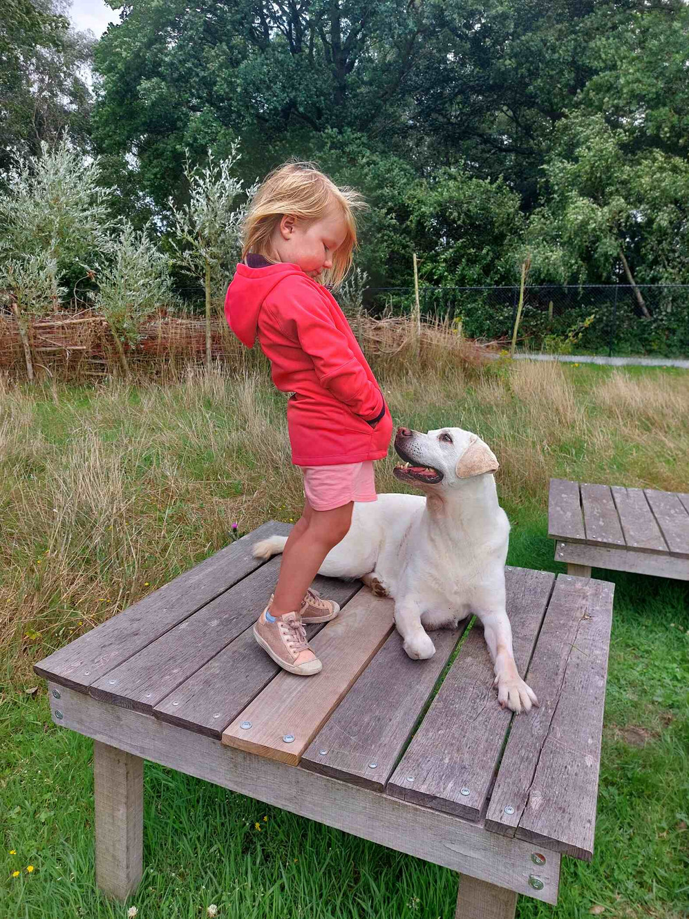 Hond en kind gezien