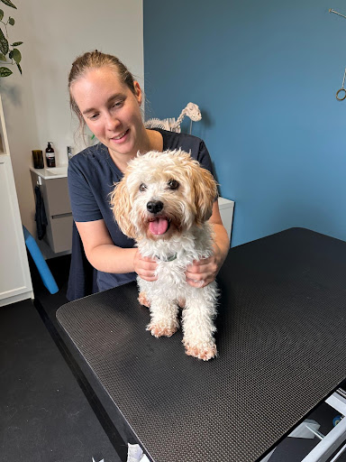 Dogolistic - holistische praktijk voor honden
