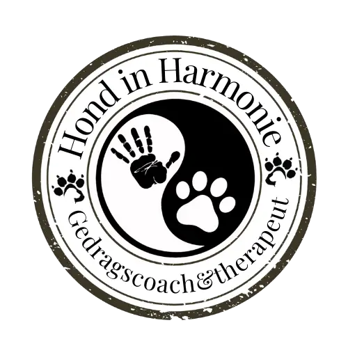 Hond in Harmonie