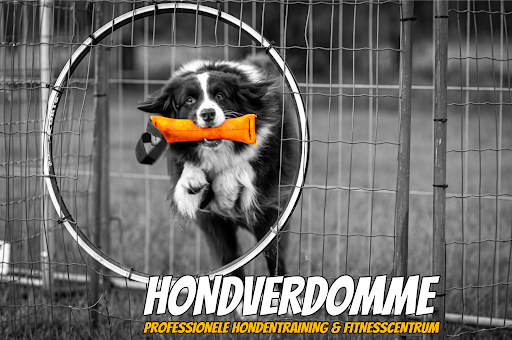 Hondverdomme