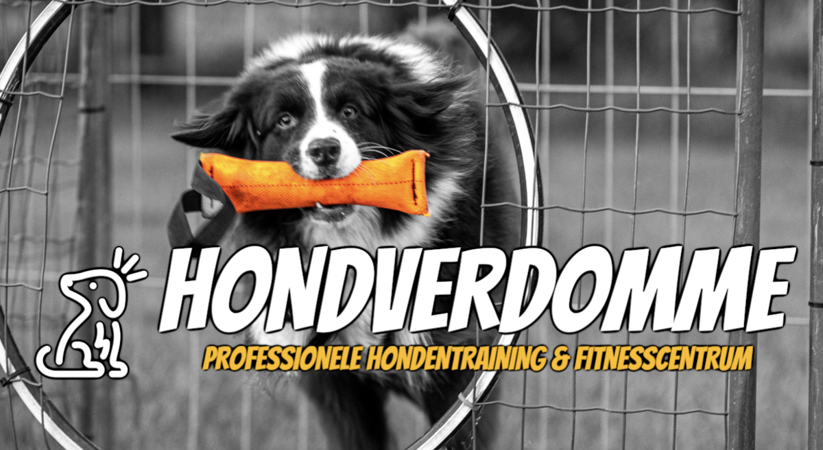Hondverdomme